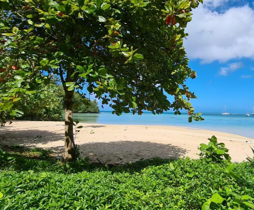 Huahine Manta Lodge Avec 4X4 Optionnel Haapu Exterior photo
