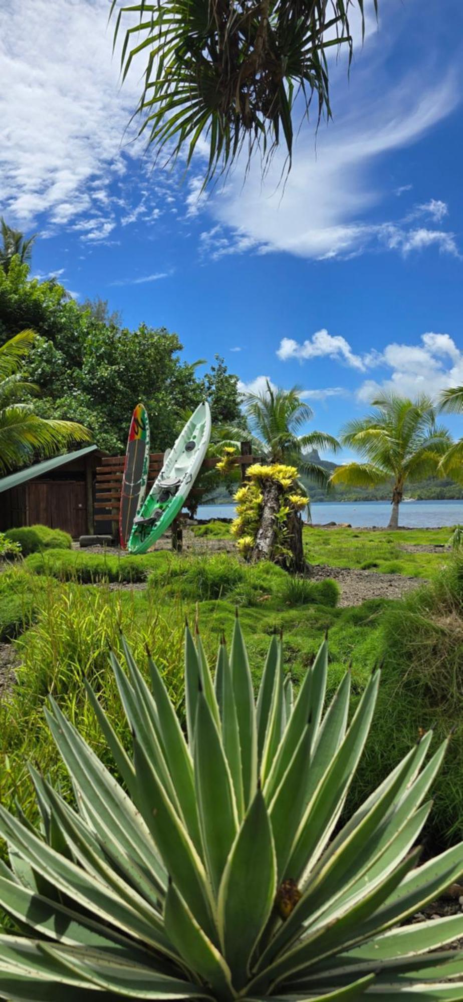 Huahine Manta Lodge Avec 4X4 Optionnel Haapu Exterior photo